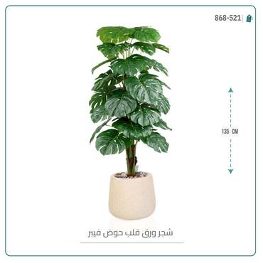 صورة مصغرة 3
