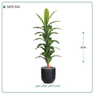 صورة مصغرة 4