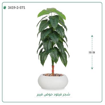 صورة مصغرة 6