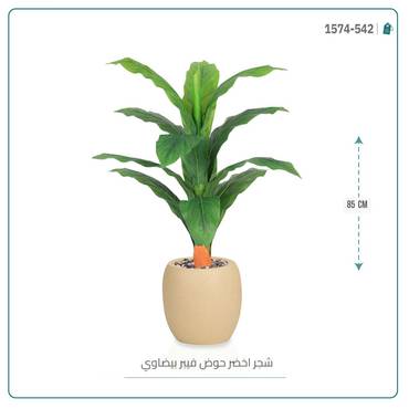 صورة مصغرة 5