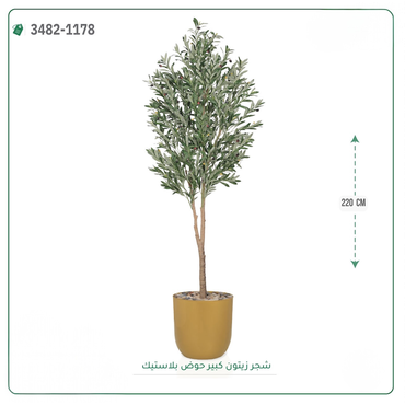 صورة مصغرة 1