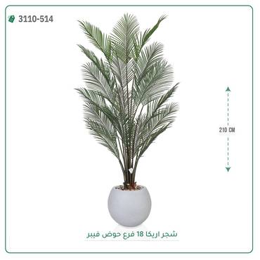 صورة مصغرة 4