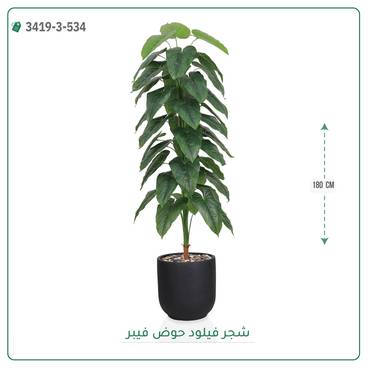 صورة مصغرة 2