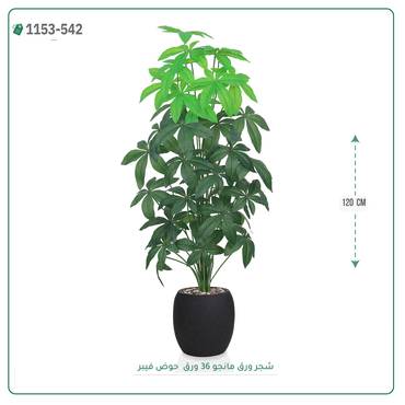 صورة مصغرة 3