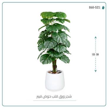 صورة مصغرة 6