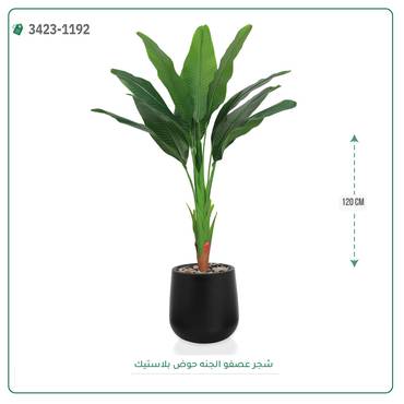 صورة مصغرة 3