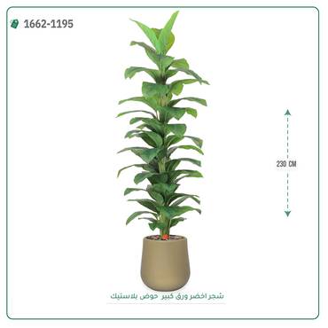 صورة مصغرة 2