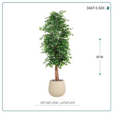 صورة مصغرة 4