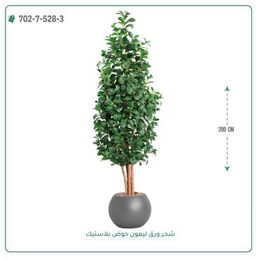 صورة مصغرة 8