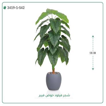 صورة مصغرة 6