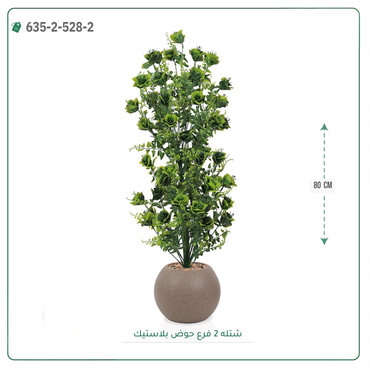صورة مصغرة 9
