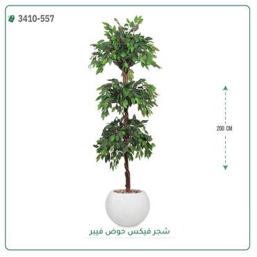 صورة مصغرة 7