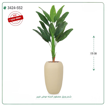 صورة مصغرة 5