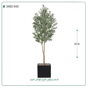 صورة مصغرة 3