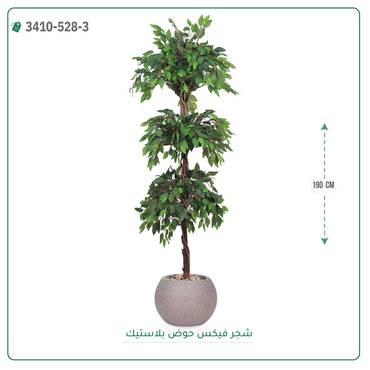 صورة مصغرة 8
