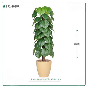 صورة مصغرة 3
