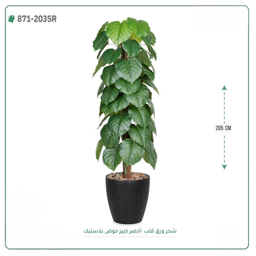 صورة مصغرة 4