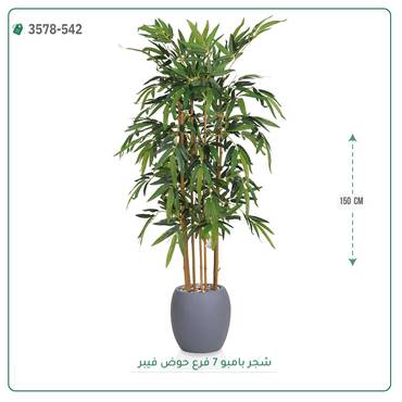 صورة مصغرة 6