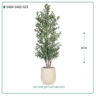 صورة مصغرة 3
