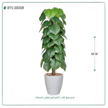 صورة مصغرة 1