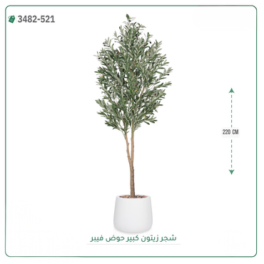 صورة مصغرة 9