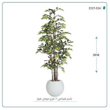 صورة مصغرة 4