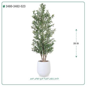 صورة مصغرة 5