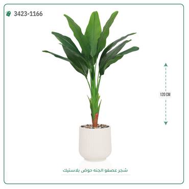 صورة مصغرة 3