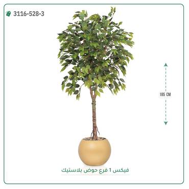 صورة مصغرة 3