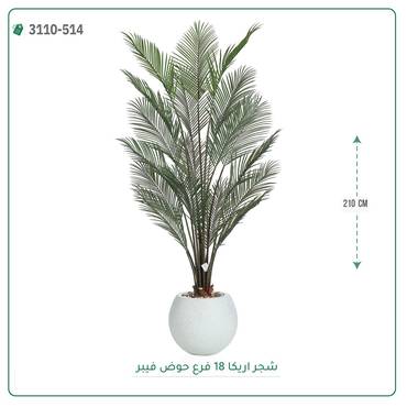 صورة مصغرة 5