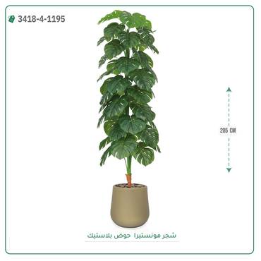 صورة مصغرة 3