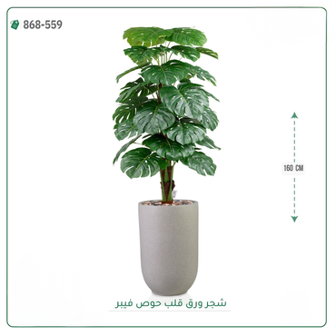 صورة مصغرة 5