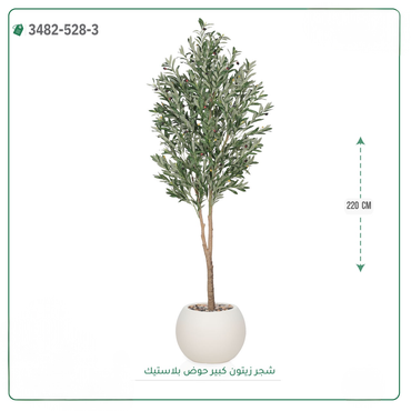 صورة مصغرة 6