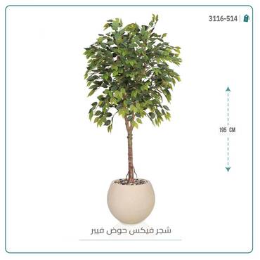 صورة مصغرة 3