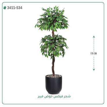صورة مصغرة 4