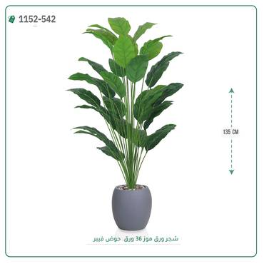 صورة مصغرة 6