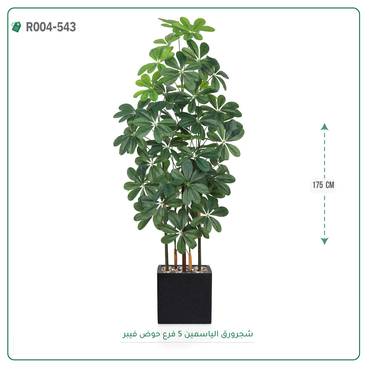 صورة مصغرة 6