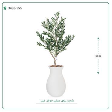 صورة مصغرة 4