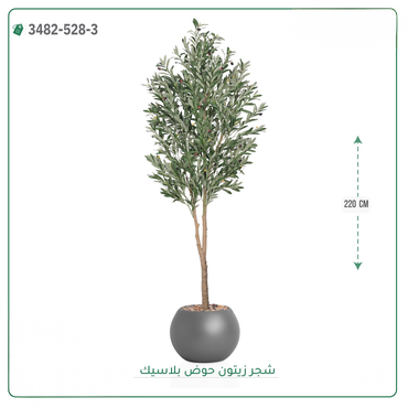 صورة مصغرة 1