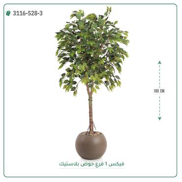 صورة مصغرة 6
