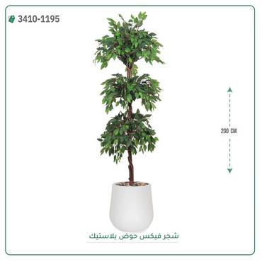 صورة مصغرة 6