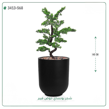 صورة مصغرة 5
