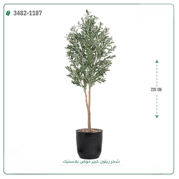 صورة مصغرة 1