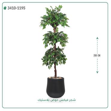 صورة مصغرة 7