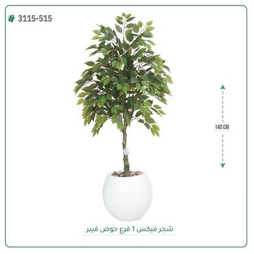 صورة مصغرة 6