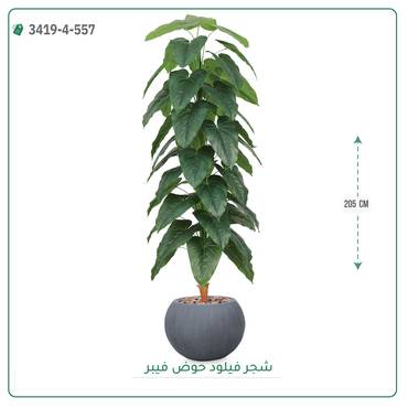صورة مصغرة 3