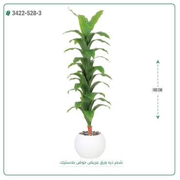 صورة مصغرة 11