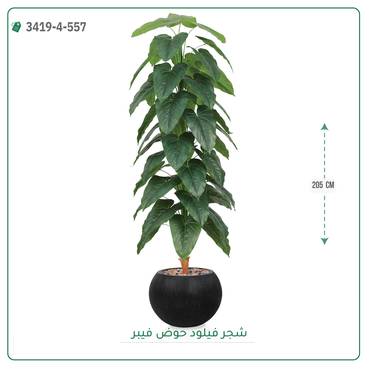 صورة مصغرة 2