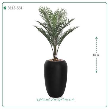 صورة مصغرة 3