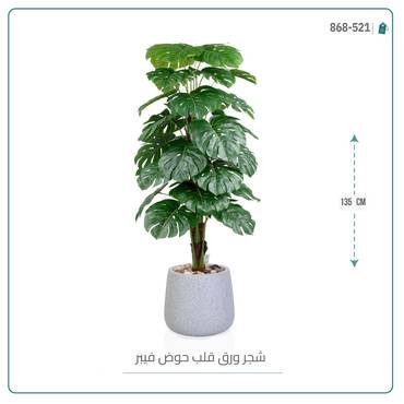 صورة مصغرة 4